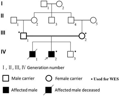 Case Report: Adolescent-Onset Isolated Nephronophthisis Caused by a Novel Homozygous Inversin Mutation